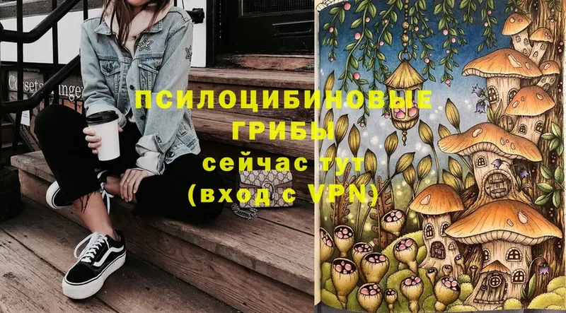 Псилоцибиновые грибы Psilocybine cubensis  наркотики  Константиновск 